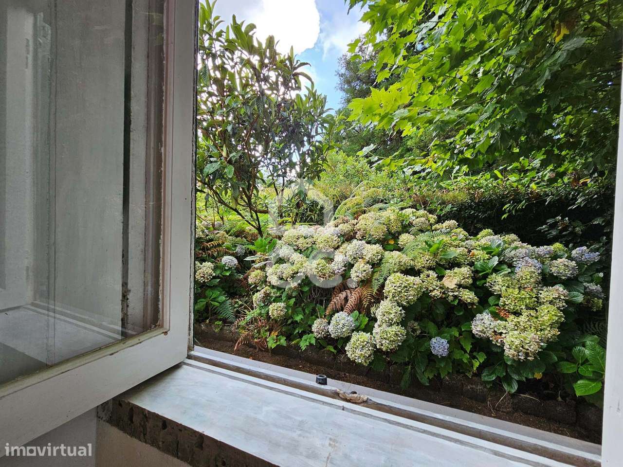 Moradia com 3+2 Quartos - Matriz - Ribeira Grande - Grande imagem: 2/30