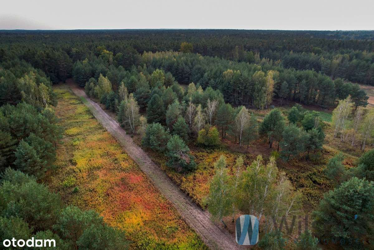 Urokliwe działki Cząstków Polski -15 km od W-wy - Pełny obrazek: 2/13