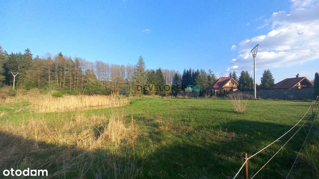 Unikalna działka ze strumykiem w Ogrodniczkach-4