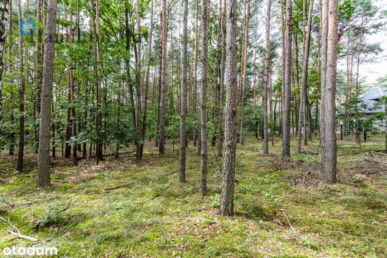 Działka budowlana na sprzedaż w Magdalence - Pełny obrazek: 5/20