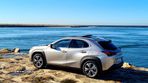 Lexus UX 300e Luxury+TAE+JLL18 - 3