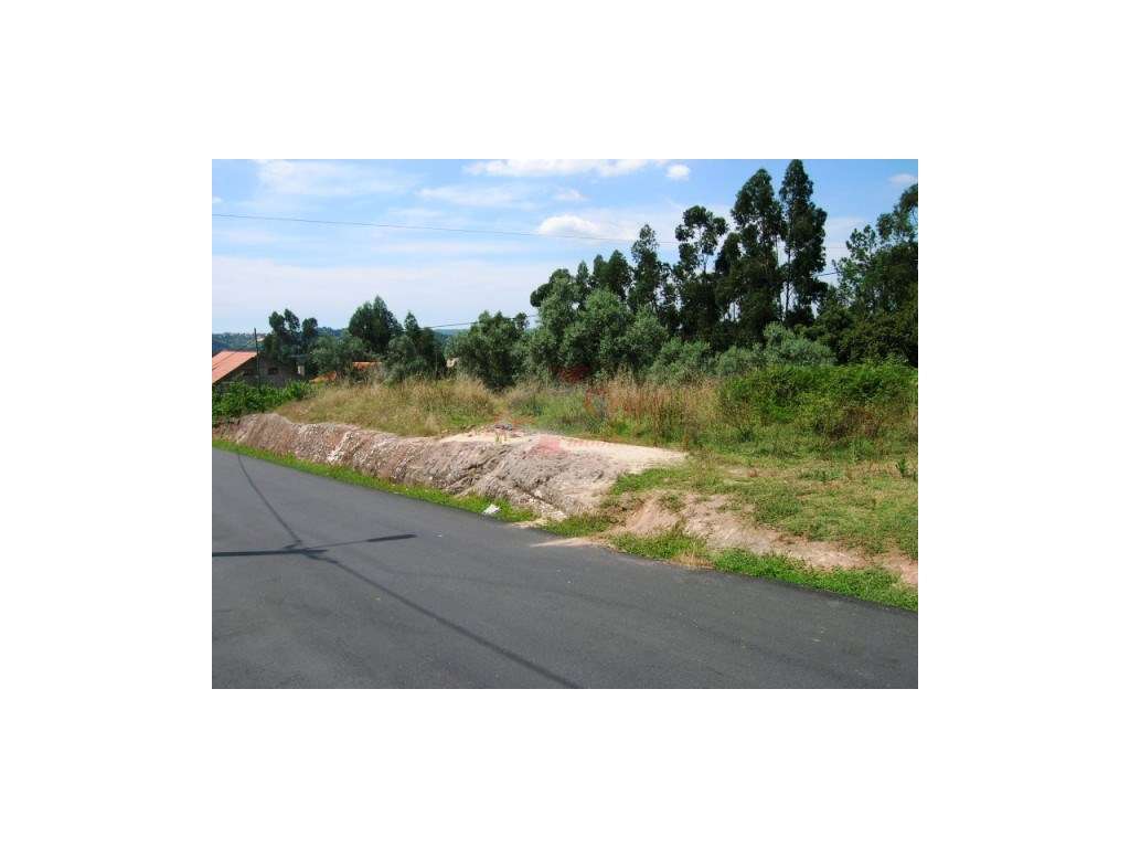 Terreno - São Paulo de Frades - Grande imagem: 2/3