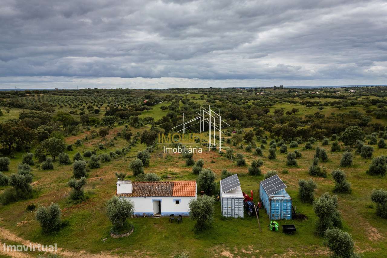 MONTINHO DO CHIADO - MALARRANHA - PAVIA-47