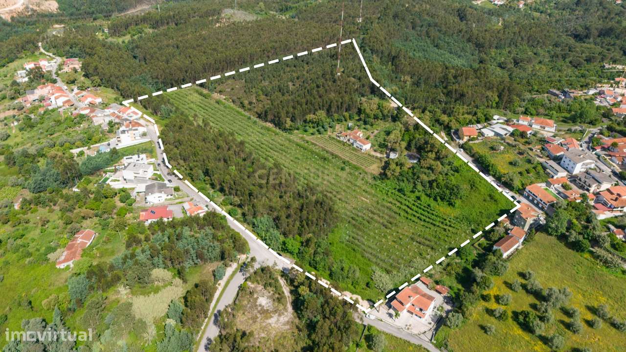 Quinta com 8 hectares com potencial para construção – Antanhol - Coimb - Grande imagem: 2/19