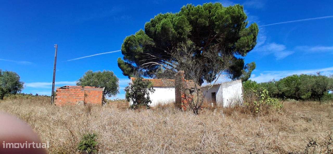 Terreno misto, com ruína para recuperar - Almeirim / Fazendas de Al... - Grande imagem: 2/13
