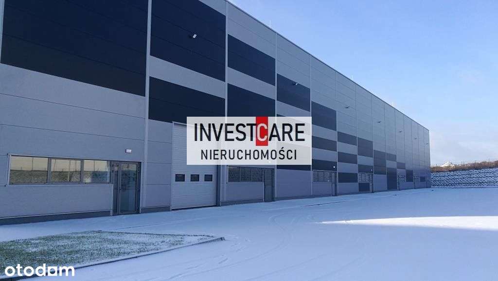 Magazyn wysokiego składu. Ogrzewany - Pełny obrazek: 5/5