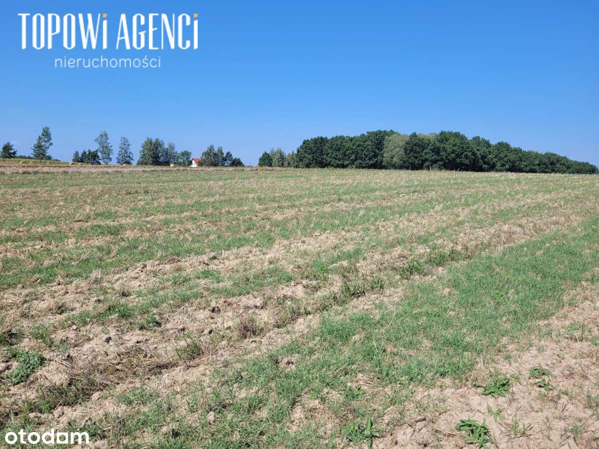 Działka nad rzeką,Park Kampinoski warunki zabudowy-14