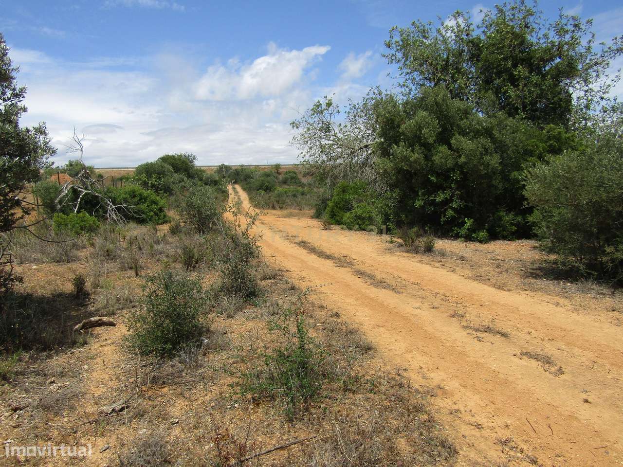 Terreno Rústico - Grande imagem: 3/7