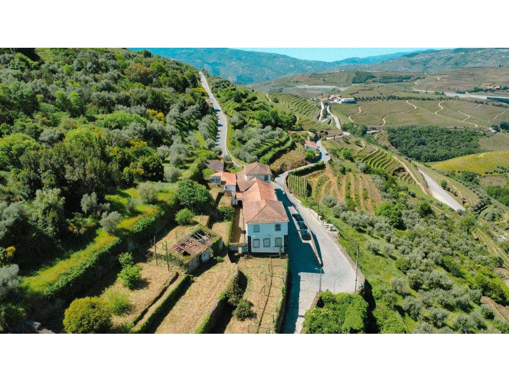 Casa Senhorial Brasonada do Século XVIII na Região do Douro-8