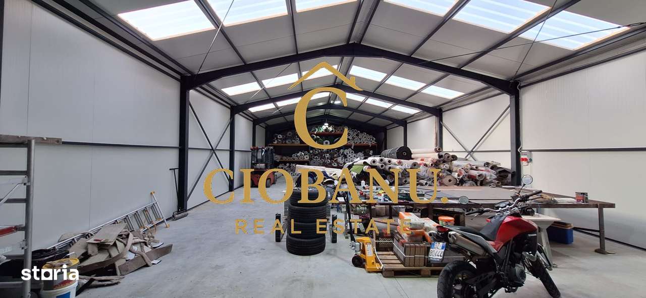 Hala de vanzare in Racari de Jos-10