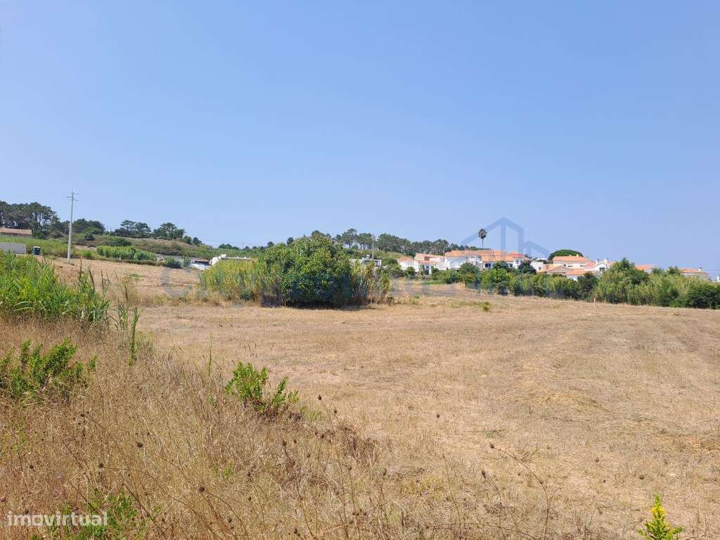 Terreno para construção em Salir do Porto - Grande imagem: 5/8