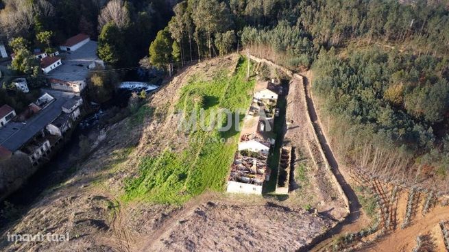 Quinta com 2 hectares para recuperar junto ao Rio Caima-6