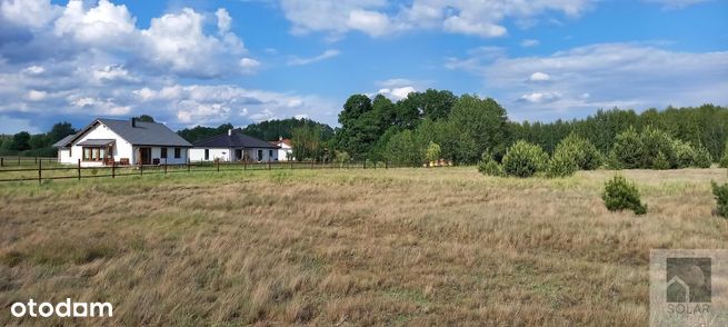 Wyjątkowe, 18km od Bydgoszczy, lokata kapitału!-0