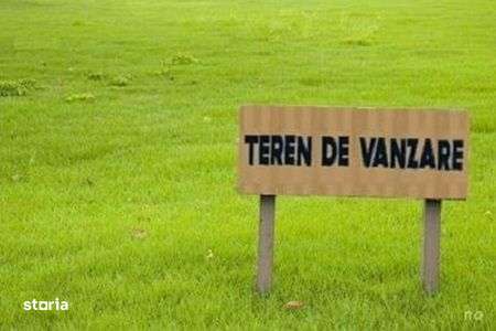 Teren 5300 mp, parcelat, fara PUZ necesar, toate utilitatile la teren, - Imagine principală: 1/3