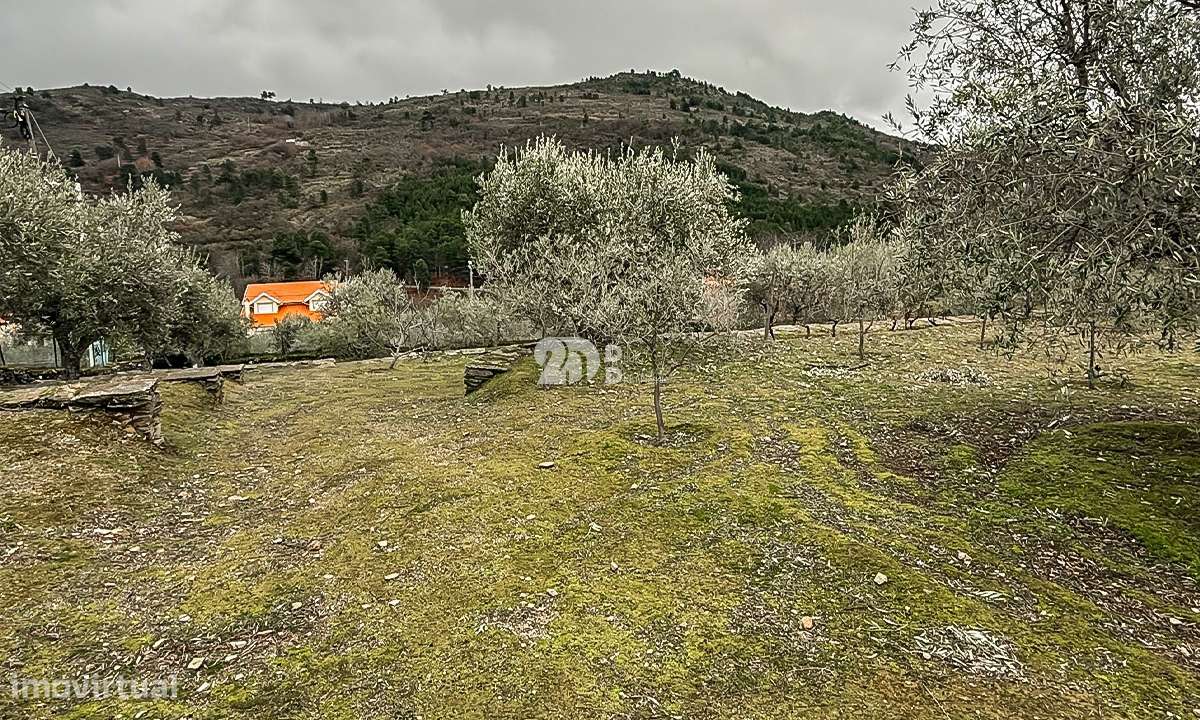 Terreno 5860m² - Pinheiros-16