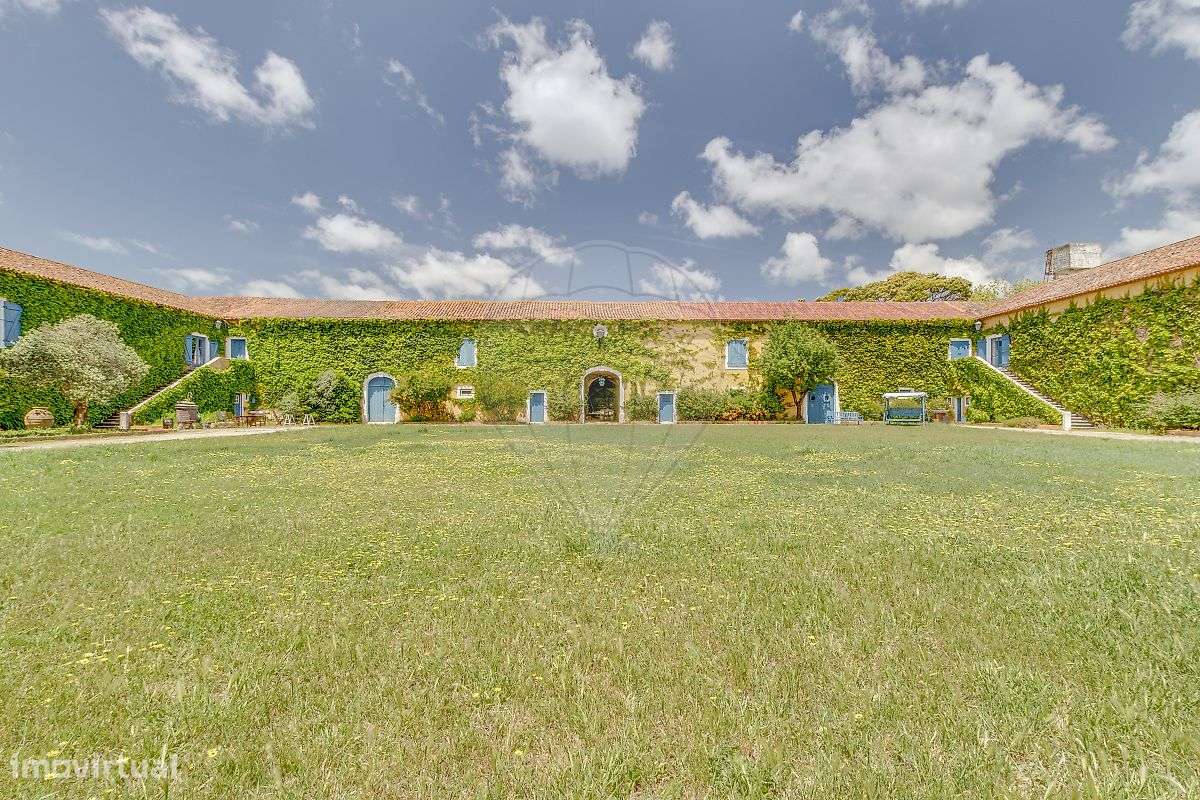 Quinta T21 para venda-30