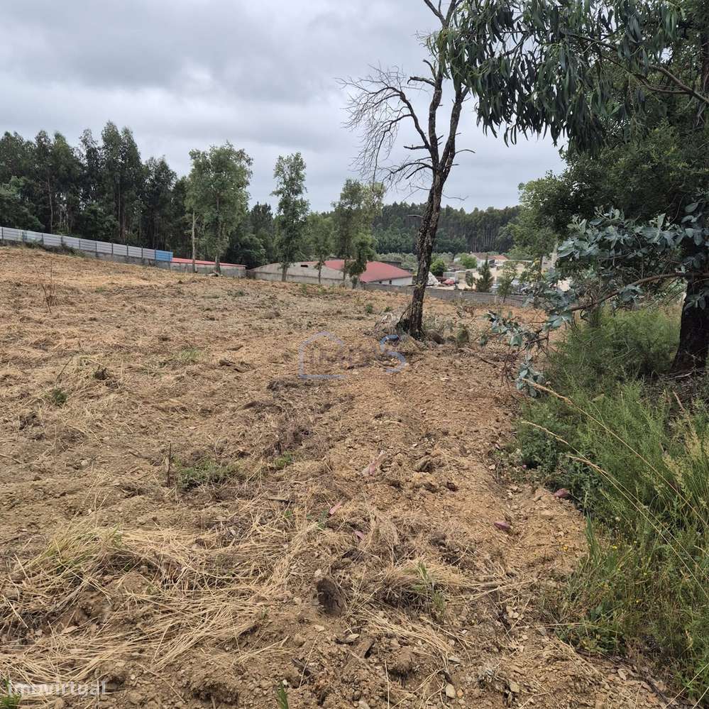 Terreno com 4.560 m² e Viabilidade de Construção – Casais, FZZ-14