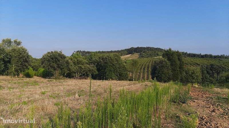 Terreno com 12.000 m² - Grande imagem: 3/7