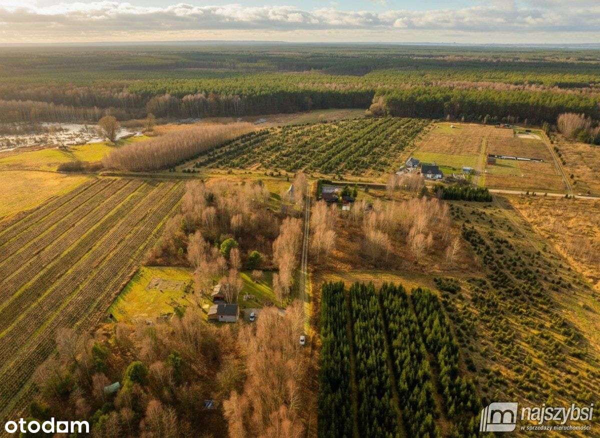 Stawno - działka w cichej okolicy - Pełny obrazek: 2/13
