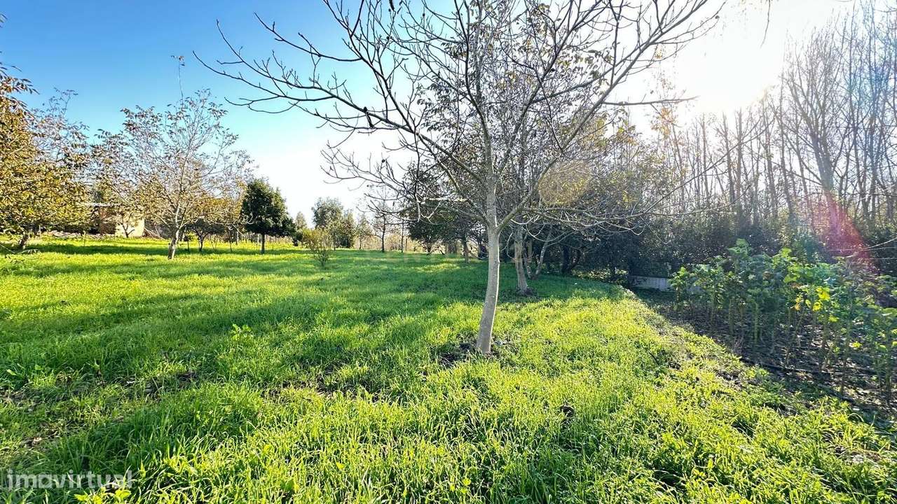 Casa para Recuperar em Oiã, Oliveira do Bairro-12