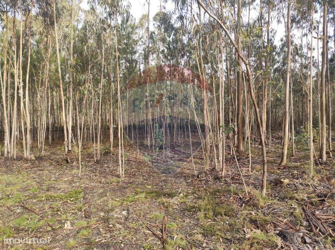 Terreno  para venda - Grande imagem: 4/7