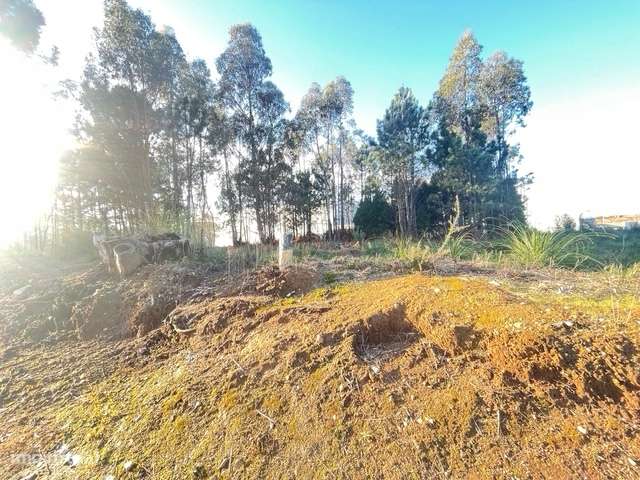 Terreno com 606m2, localizado próximo do Centro de Canelas!-9