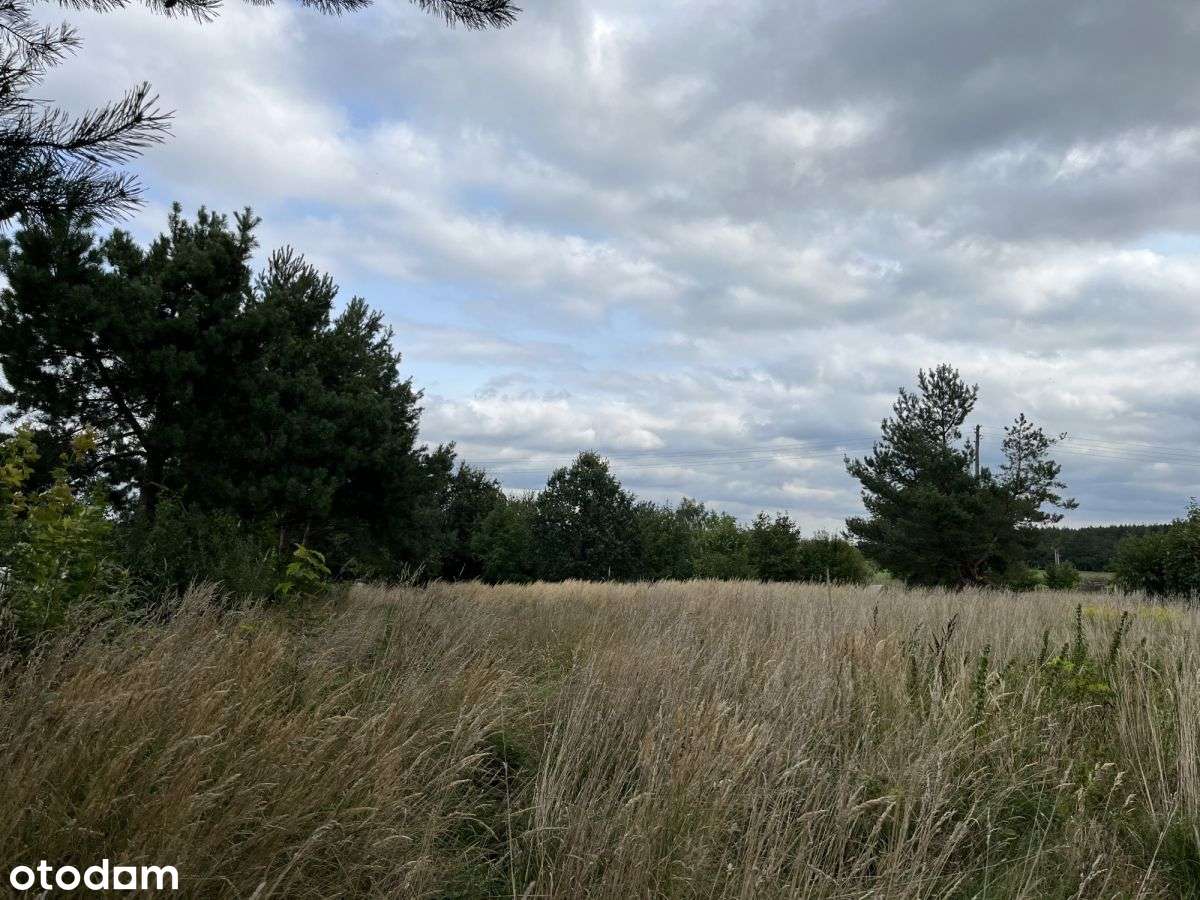 Duża Działka Budowlana Blisko Twardogóry - Pełny obrazek: 5/12