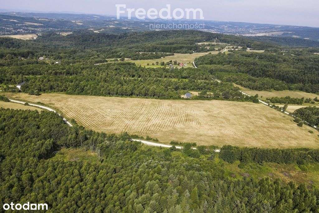 Działka widokowa 22 ar Lubenia - Pełny obrazek: 5/15