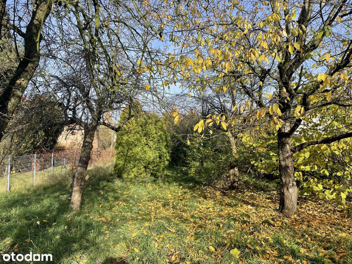 dom do remontu  z ładna południową działką-10