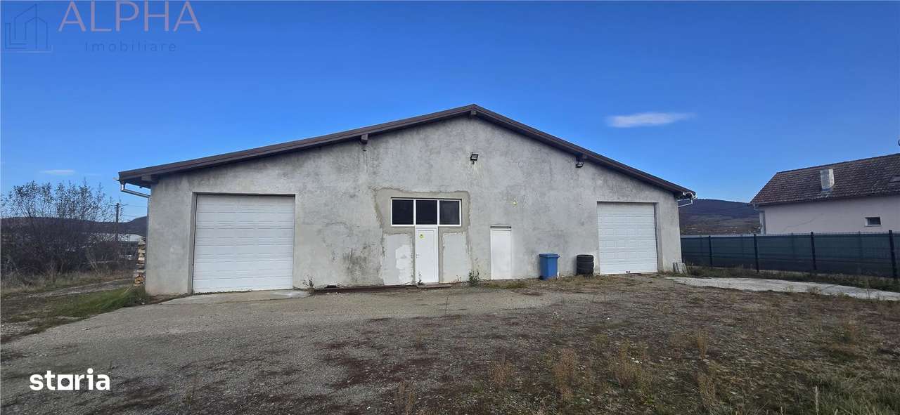 HALA DE VANZARE – IDEALA PENTRU SERVICE AUTO  PRODUCTIE  DEPOZIT  SALA - Imagine principală: 4/20