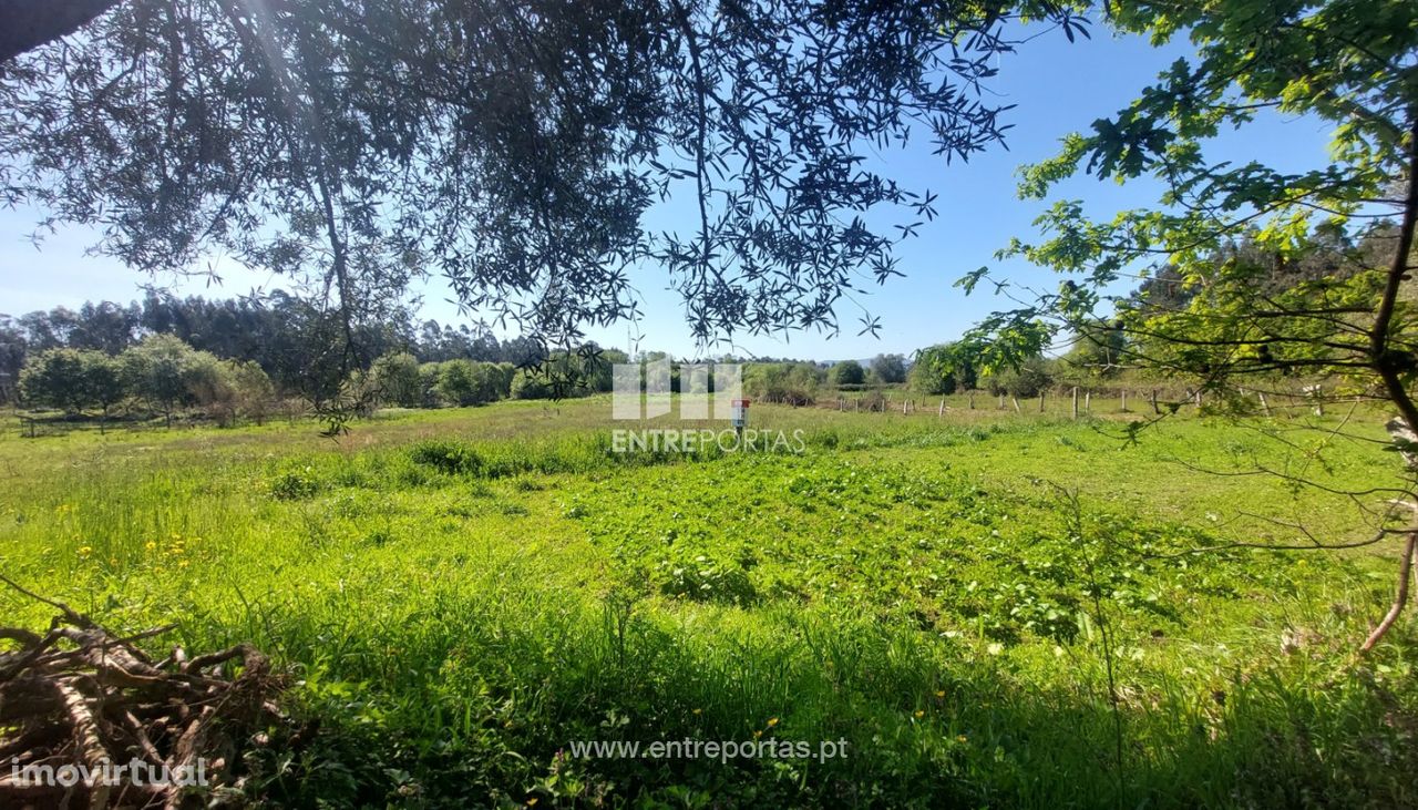 Venda de terreno agrícola, Alvarães, Viana do Castelo