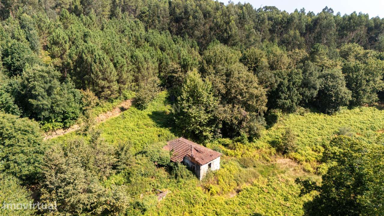 Moradia T3 para Reabilitar Terreno com 1,06 Ha  em Celorico de Basto - Grande imagem: 4/24