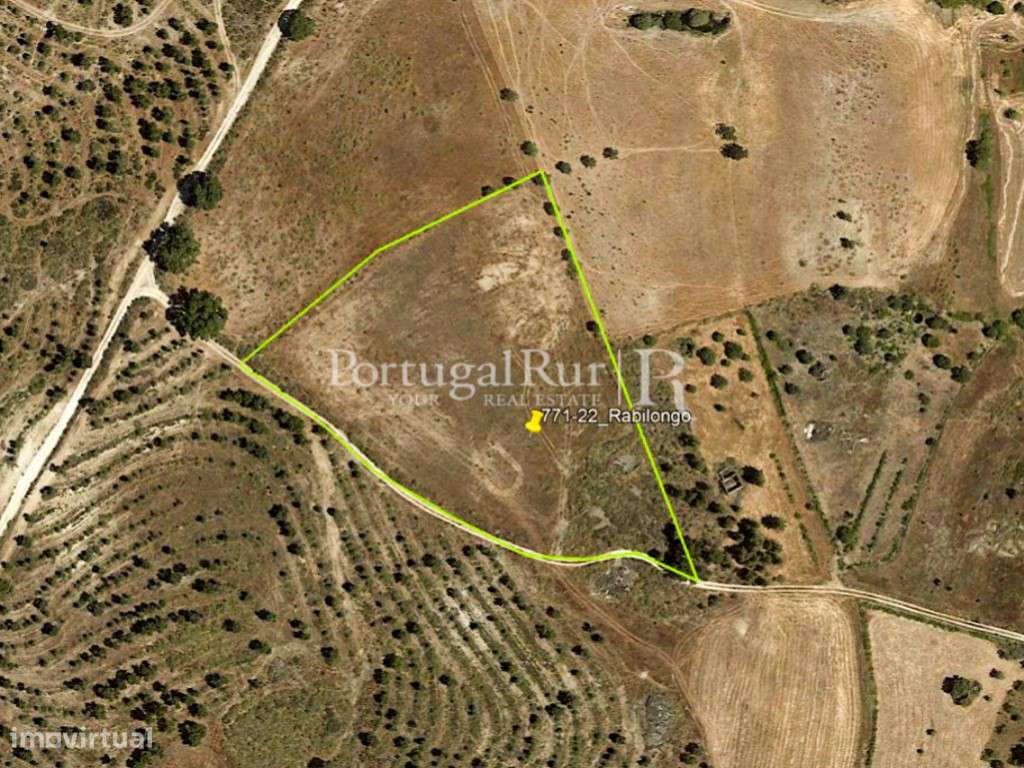 Terreno Rústico em Monsanto - Grande imagem: 4/17