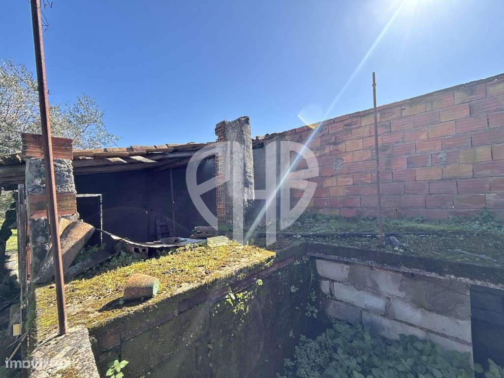 Moradia P/Recuperar Terreno 980m2 // Gáfete - Crato-58