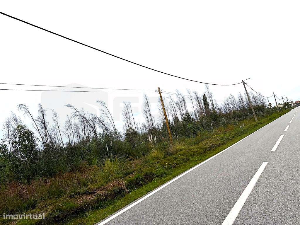 Terreno com 3 frentes para venda Albergaria - a - Velha - Grande imagem: 5/21