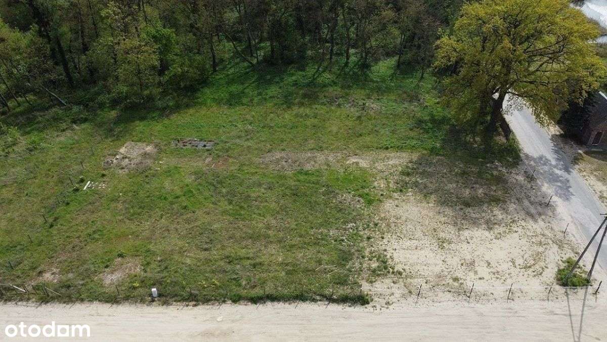 ok.Chrzypsko Wlk.764m2;809m2 lub 1203m2 - Pełny obrazek: 4/20