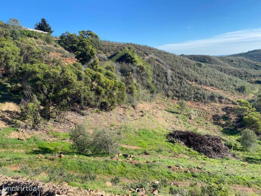 Terreno Rústico com Vista Panorâmica de Mar e Serra em Tavira - Grande imagem: 5/7
