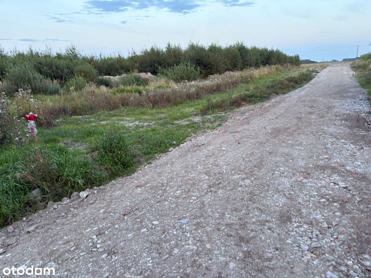 Działka w Tomaszkowie - nowa cena !-7