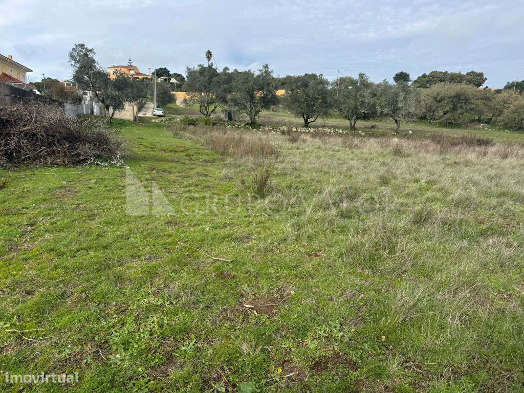 Terreno com 4220m2, em Almornos, Almargem do Bispo-9