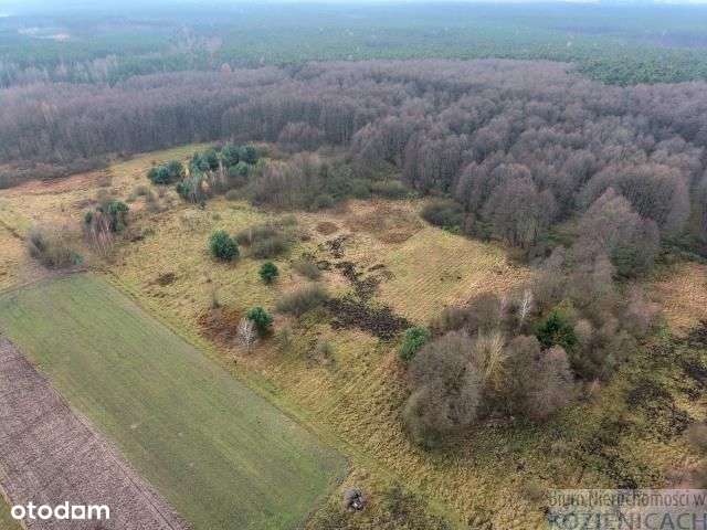 Działka budowlana Chinów-9