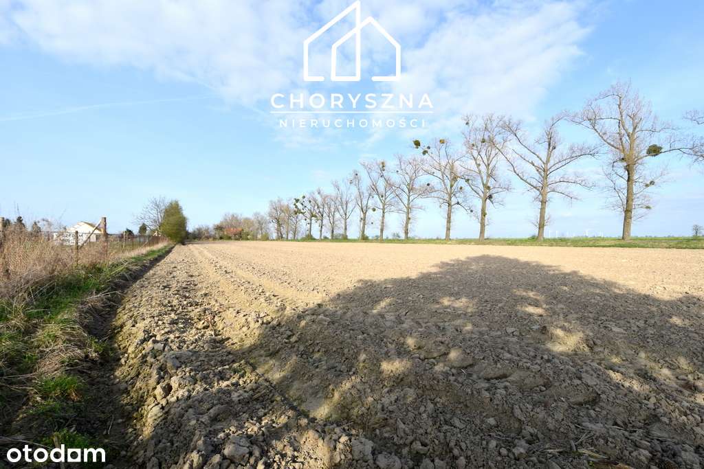 Działka budowlana w Bierutowie -możliwość podziału-11