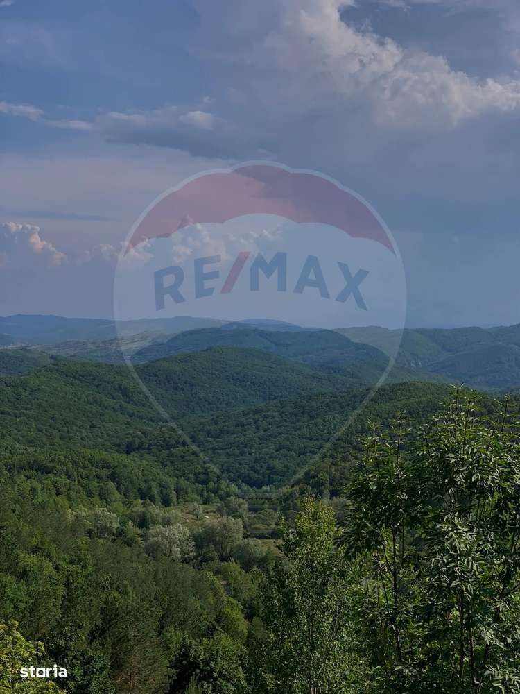 DE VANZARE Pensiune | 12 camere | Bisoca / Buzau - Imagine principală: 5/20