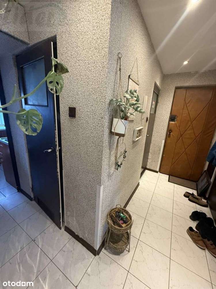 3 pokoje , parter , Żabieniec-7