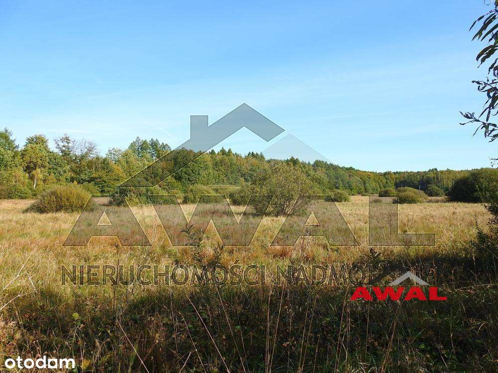 Duża działka rolna w Leśniewie blisko lasu-0