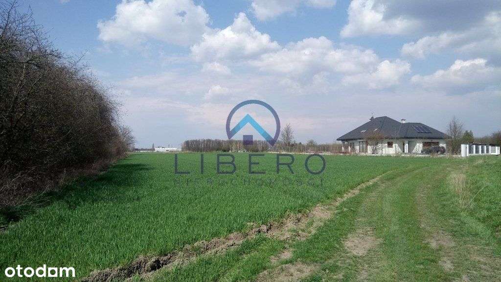 Kacice działka 4158 m2 Wz na 3 budynki mieszkalne - Pełny obrazek: 4/9