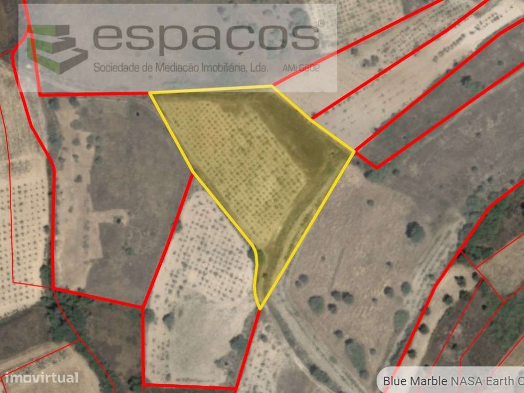 Terreno com poço - S. Domingos - Grande imagem: 4/4