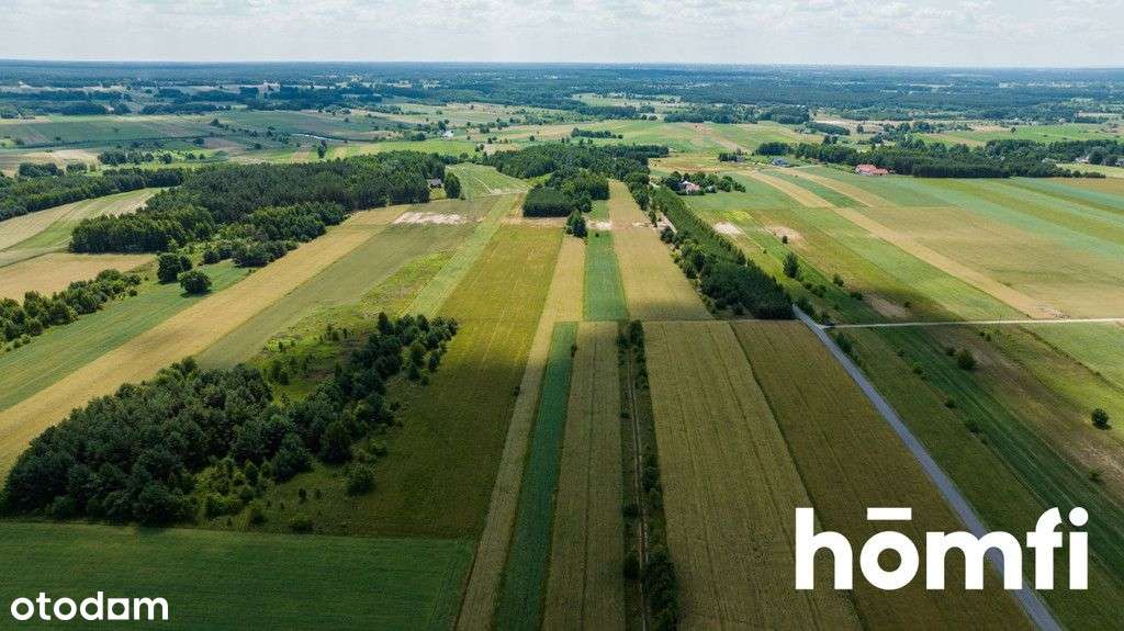 Działki rolno-budowlane w wyjątkowej okolicy! - Pełny obrazek: 5/7