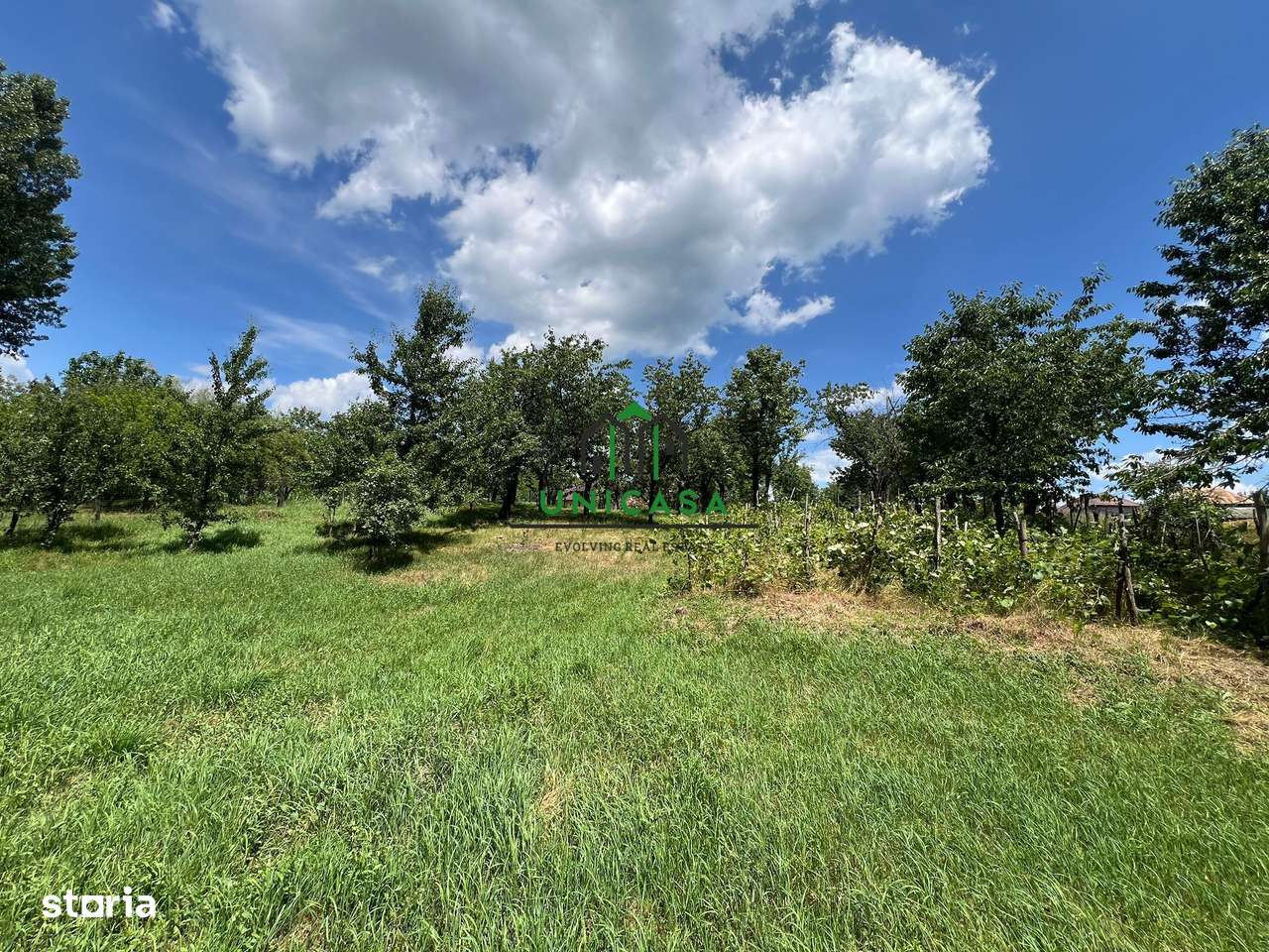 Teren Fedelesoiu/3200 mp/Intravilan - Imagine principală: 4/8