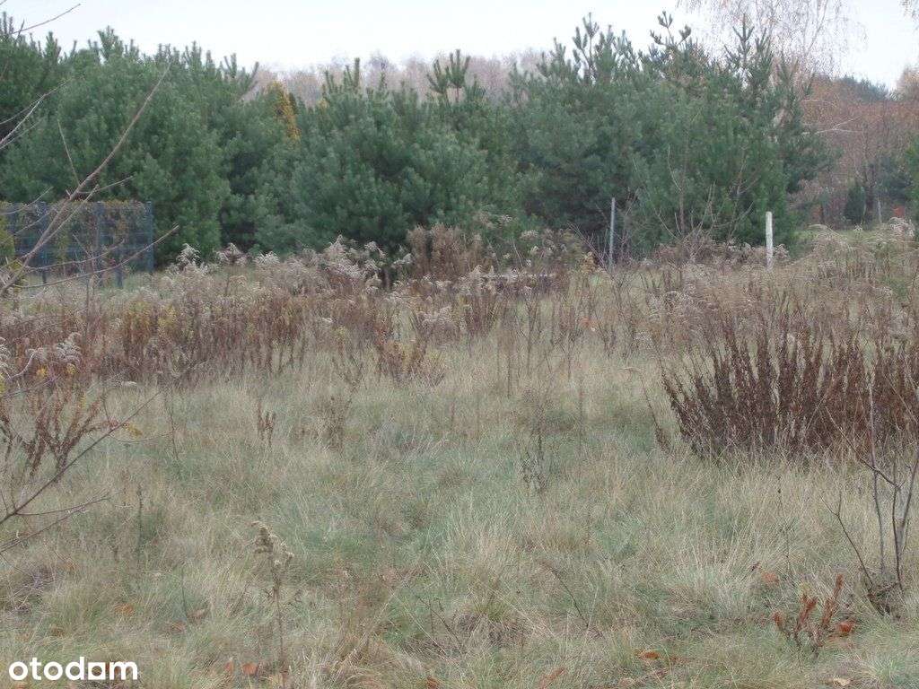 Działka budowlana w pobliżu Kampinoskiego P. N.-3