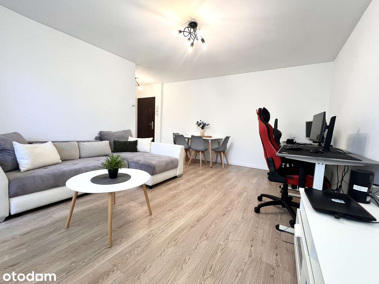 2M |po remoncie_gotowe pod najem_zielona okolica| TYLKO U NAS! - Pełny obrazek: 5/13